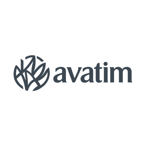 Logo Avatim